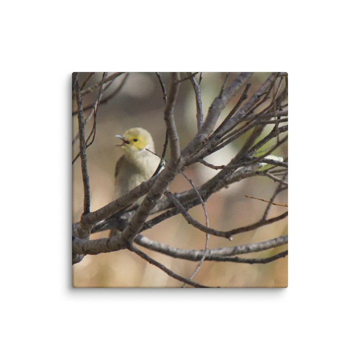 Bird Canvas product image (1)