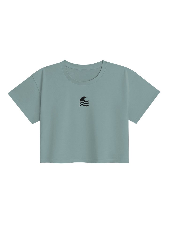 Wake Explorer Decal Logo Croptop product image (6)