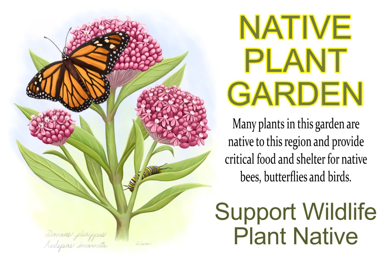Native Plant Garden Sign product image (1)
