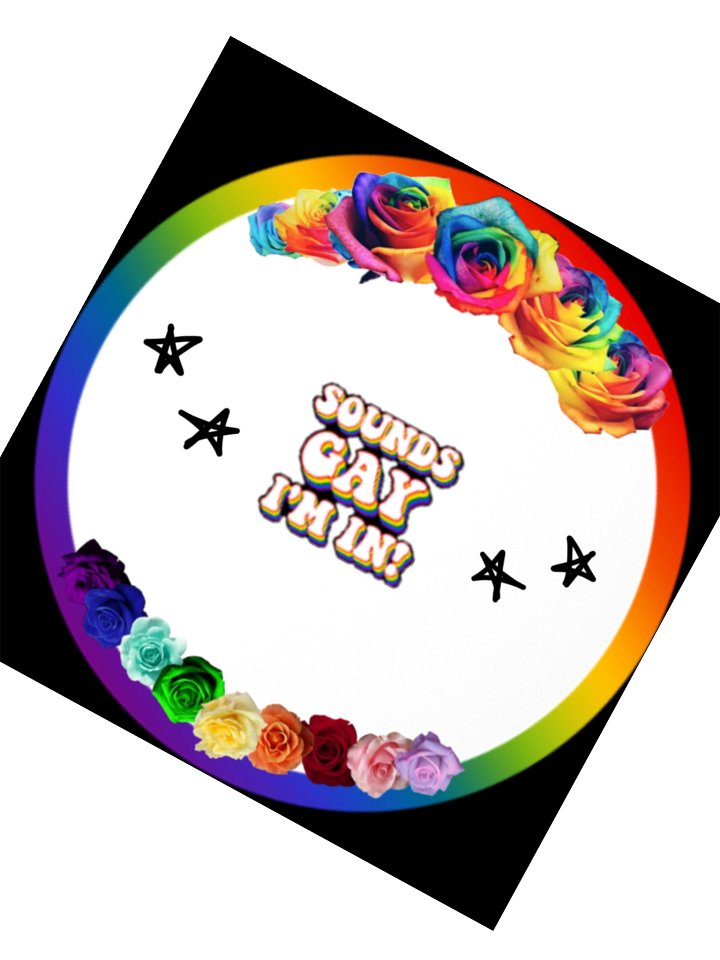 Sounds Gay I'm In! product image (4)