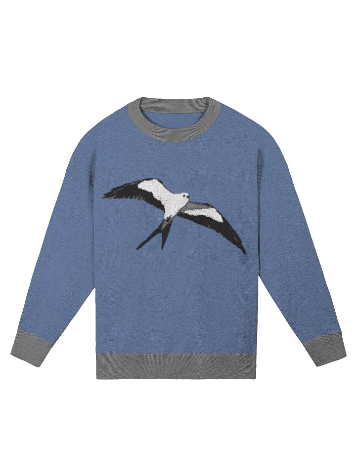 Swallow-tailed Kite Relaxed Jacquard Sweater – Knit Pullover with Soaring Bird Design product image (4)