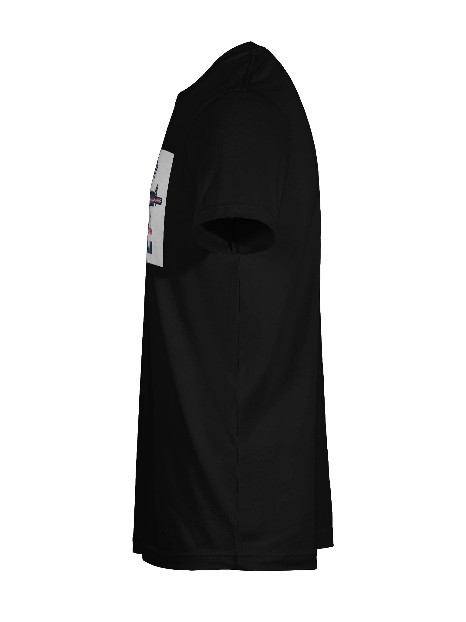 Protected By The Second Amendment T-Shirt product image (11)