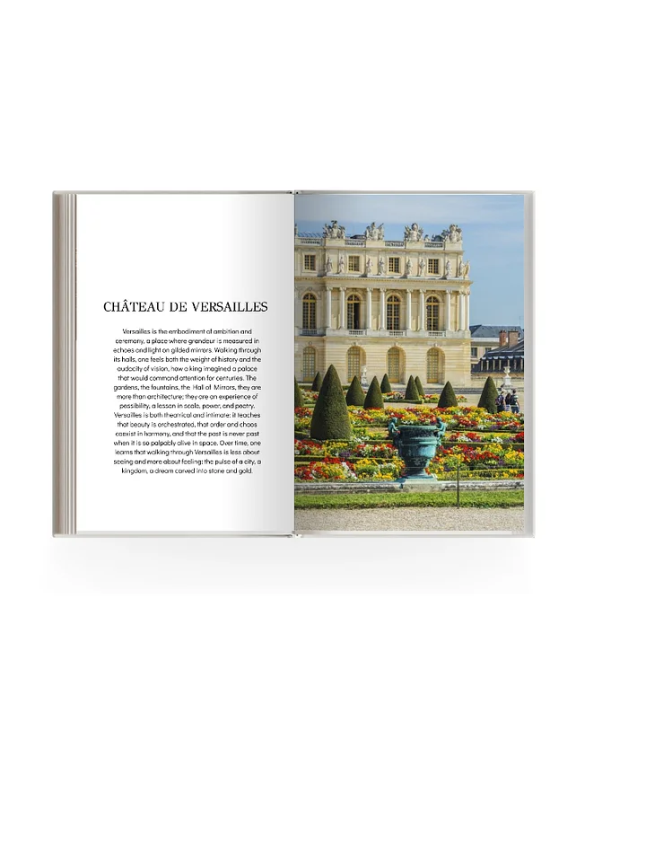 MOONTECITO: PARIS EDITION ONE product image (2)