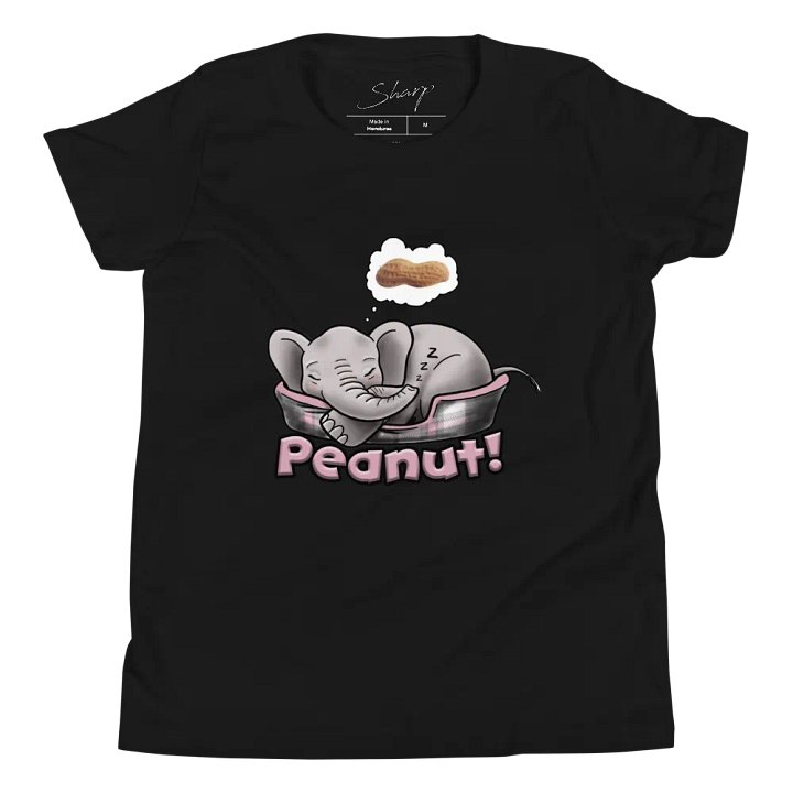 Sleepy Peanut - SFA Youth T-Shirt product image (1)