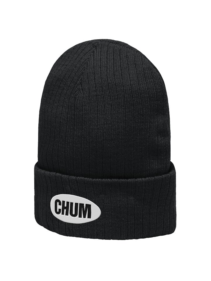 Oval logo cuffed beanie product image (2)