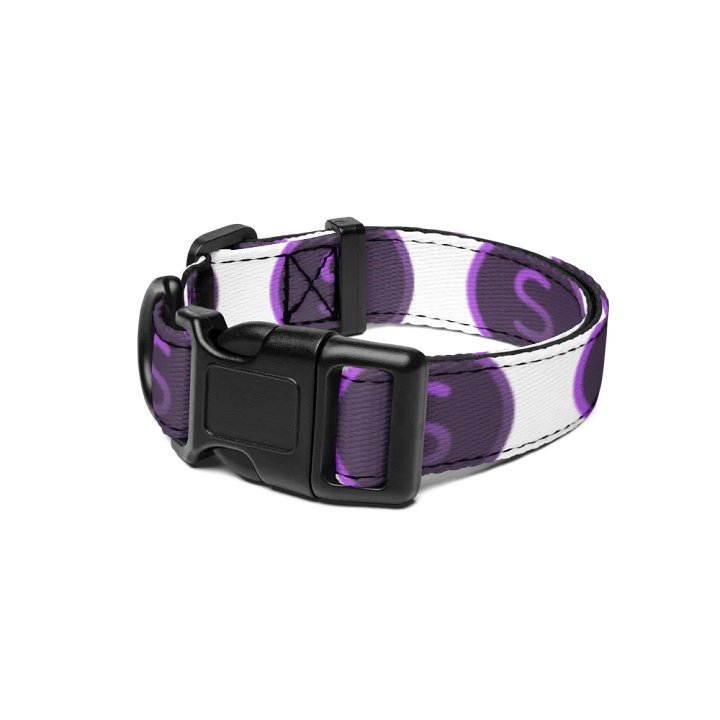 Selenite Collar product image (1)