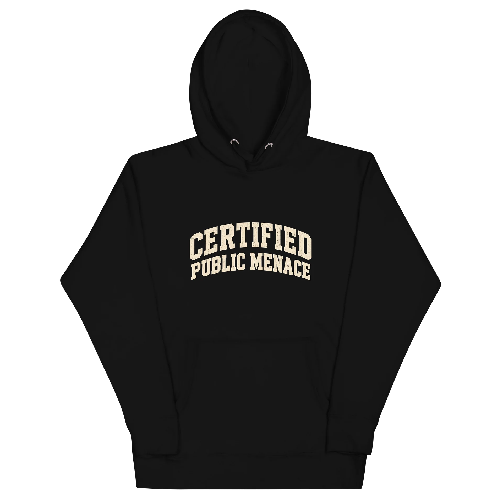 Certified Public Menace Hoodie product image (3)