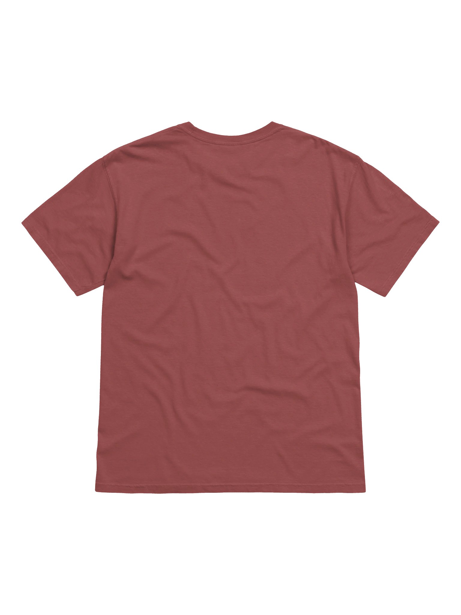 Home for the Holidays Tshirt product image (8)