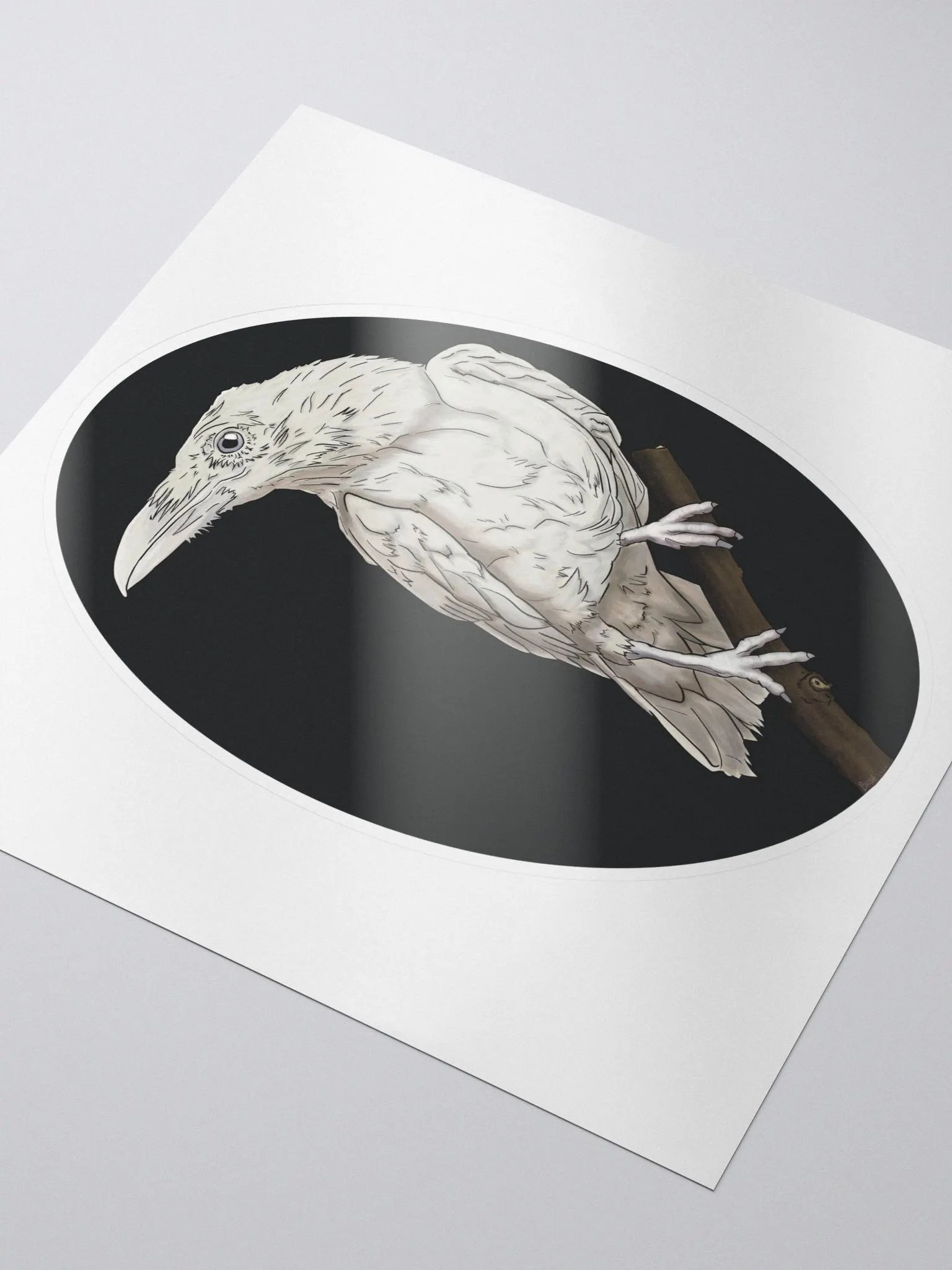 Leucistic Raven Sticker product image (3)