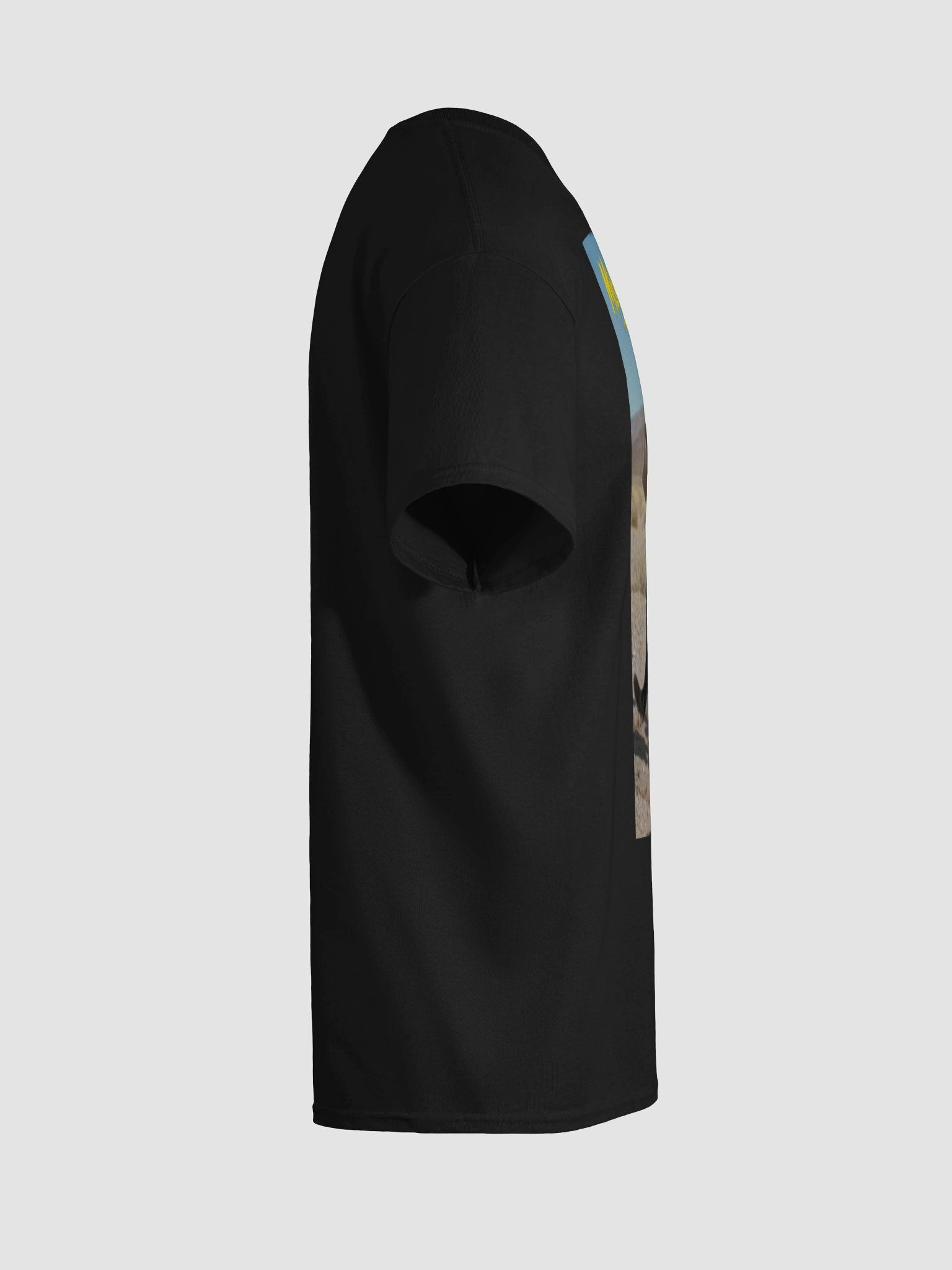 Hey! It's that Stupid Cat! product image (10)