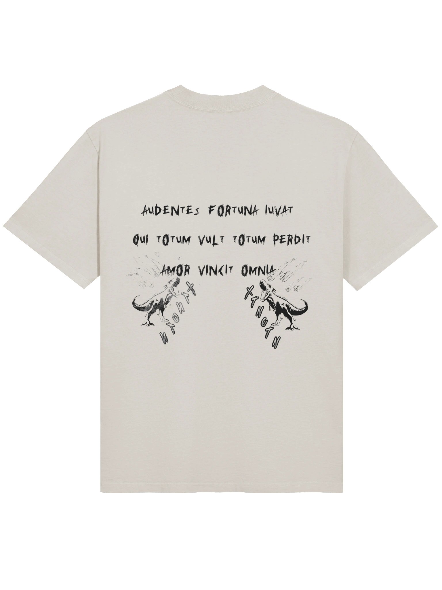 latin detected product image (4)