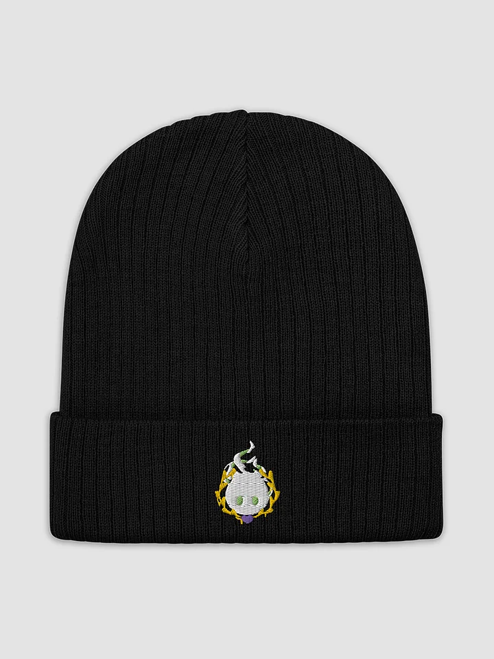Logo Knitted Beanie! product image (2)