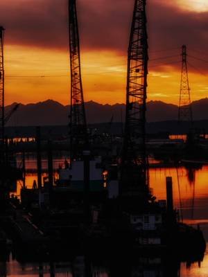 Forged by tide, built for grit. Hard work, precision, and American pride welcome to Twin Anchor Apparel   Strength in Every Tide www.twinanchorapparel.com  #pnwtug #pnwtugs #pnwtuglife #MaritimeIndustry #WorkingWaterfront 