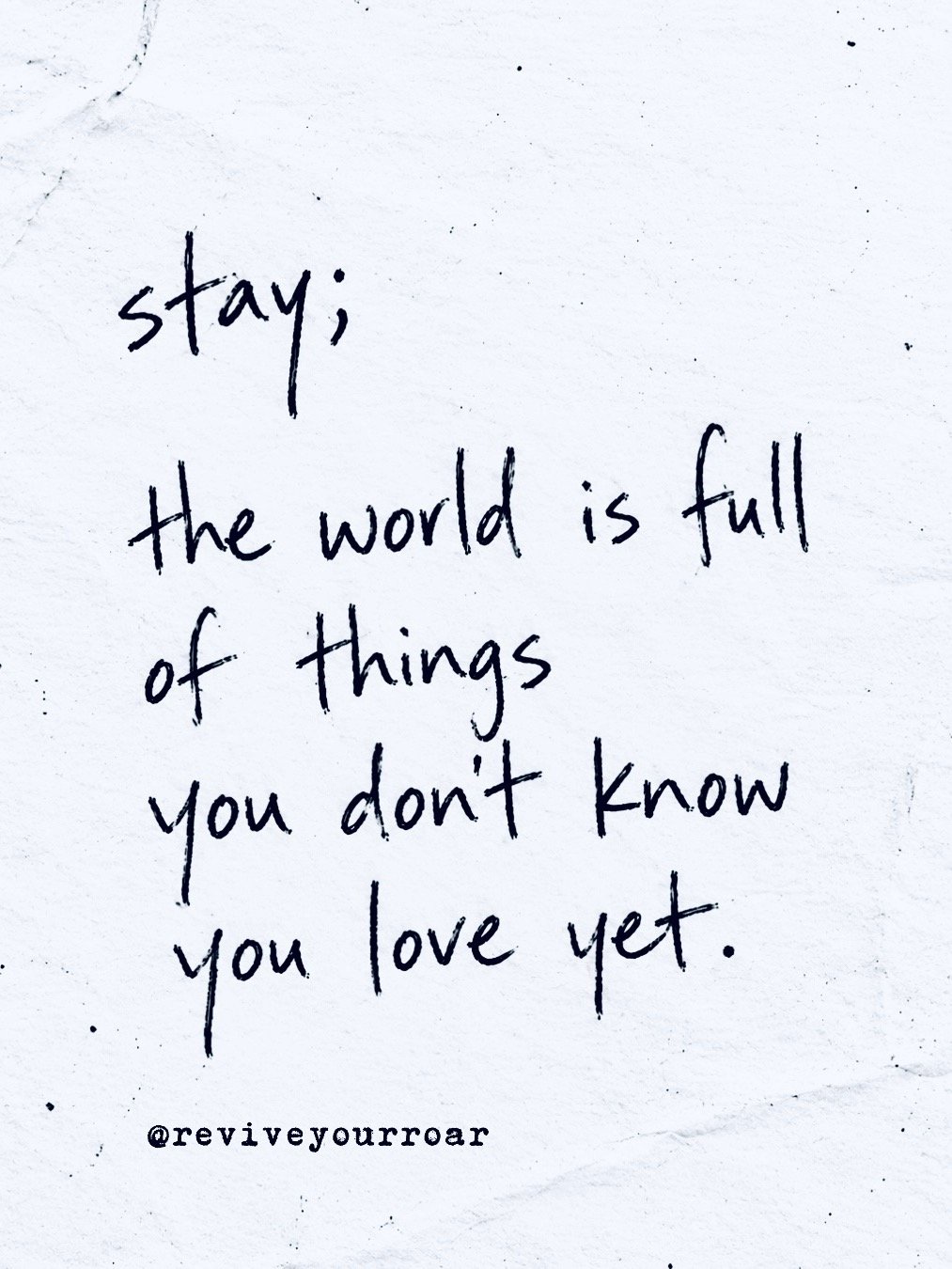 stay; product image (1)