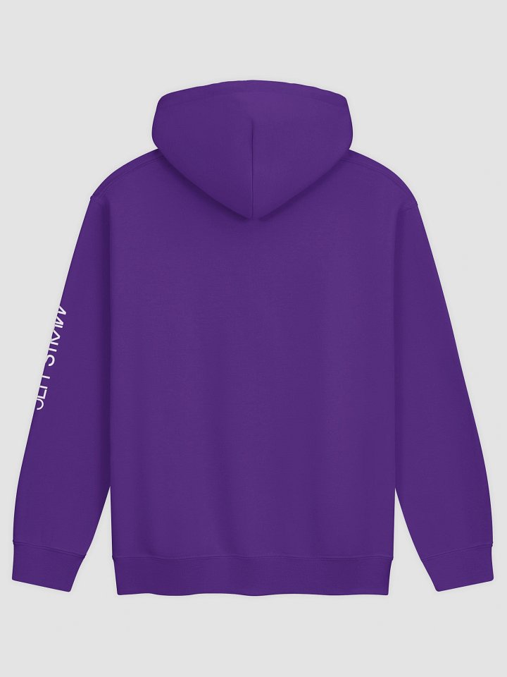 Disco Never Dies Logo Hoodie product image (18)