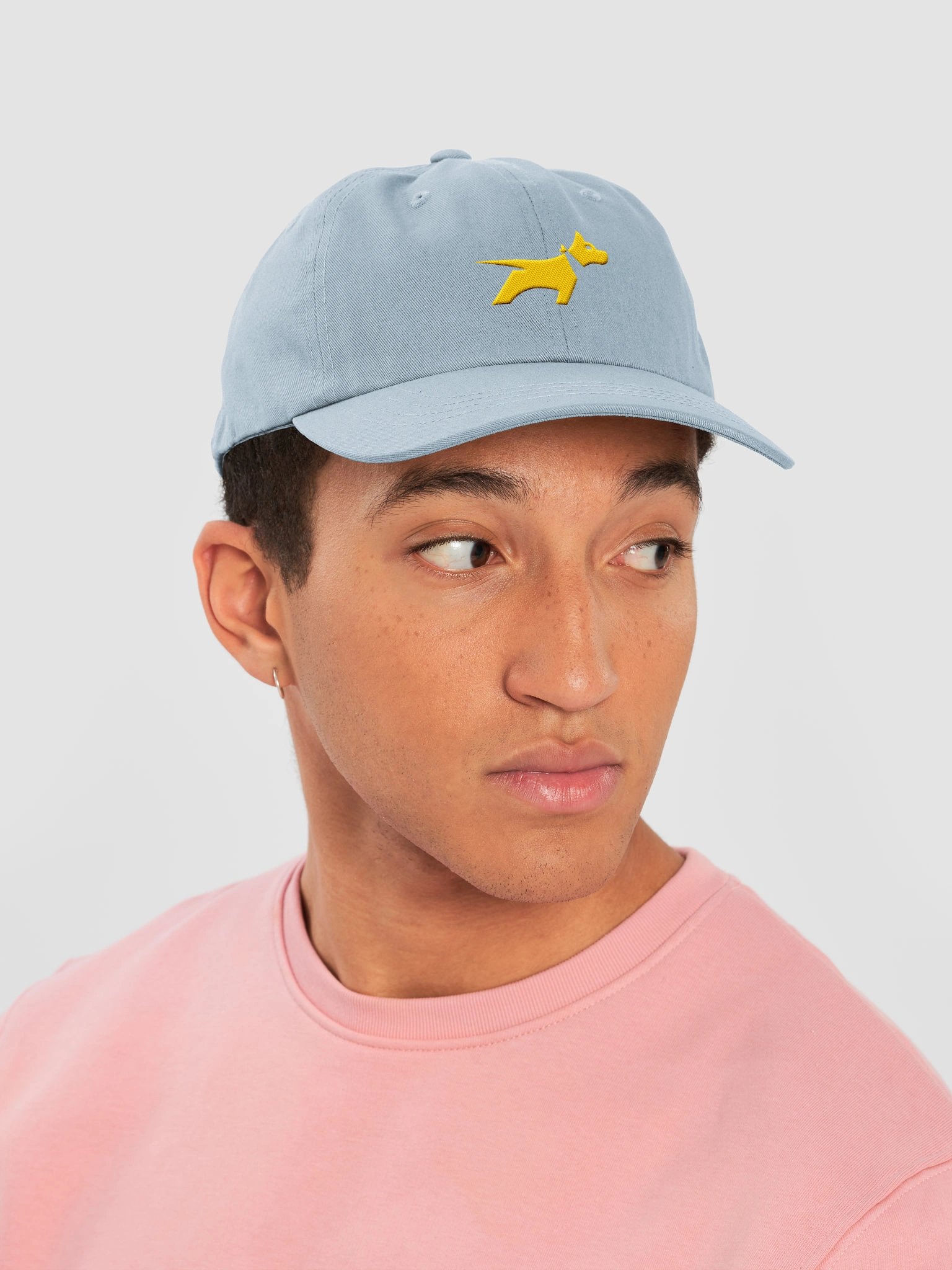 Dad Hat product image (11)