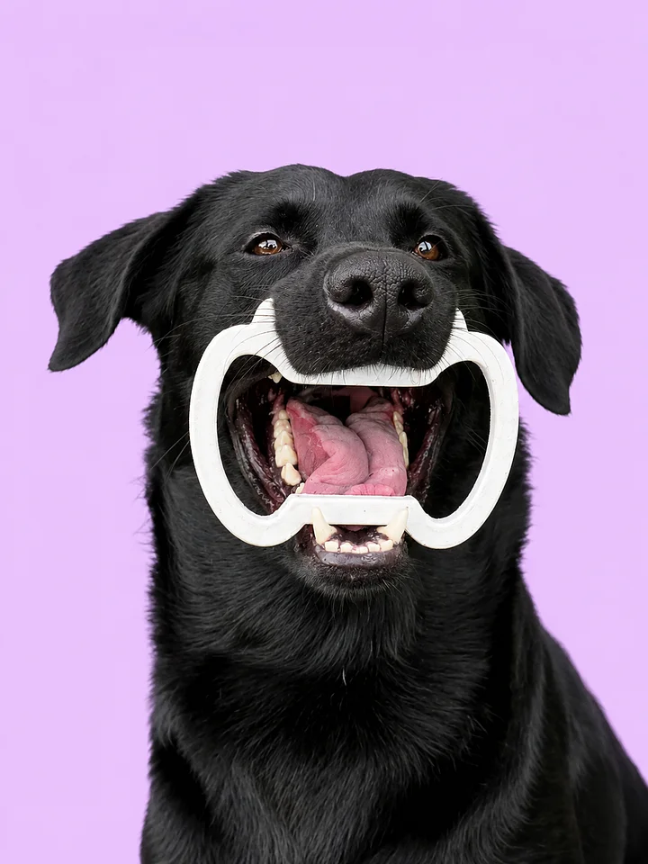 Dog Mouth Block product image (1)