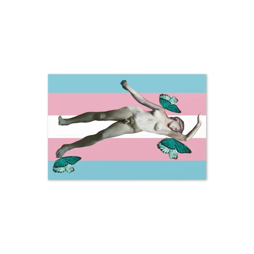 Trans Butterflies Card product image (10)