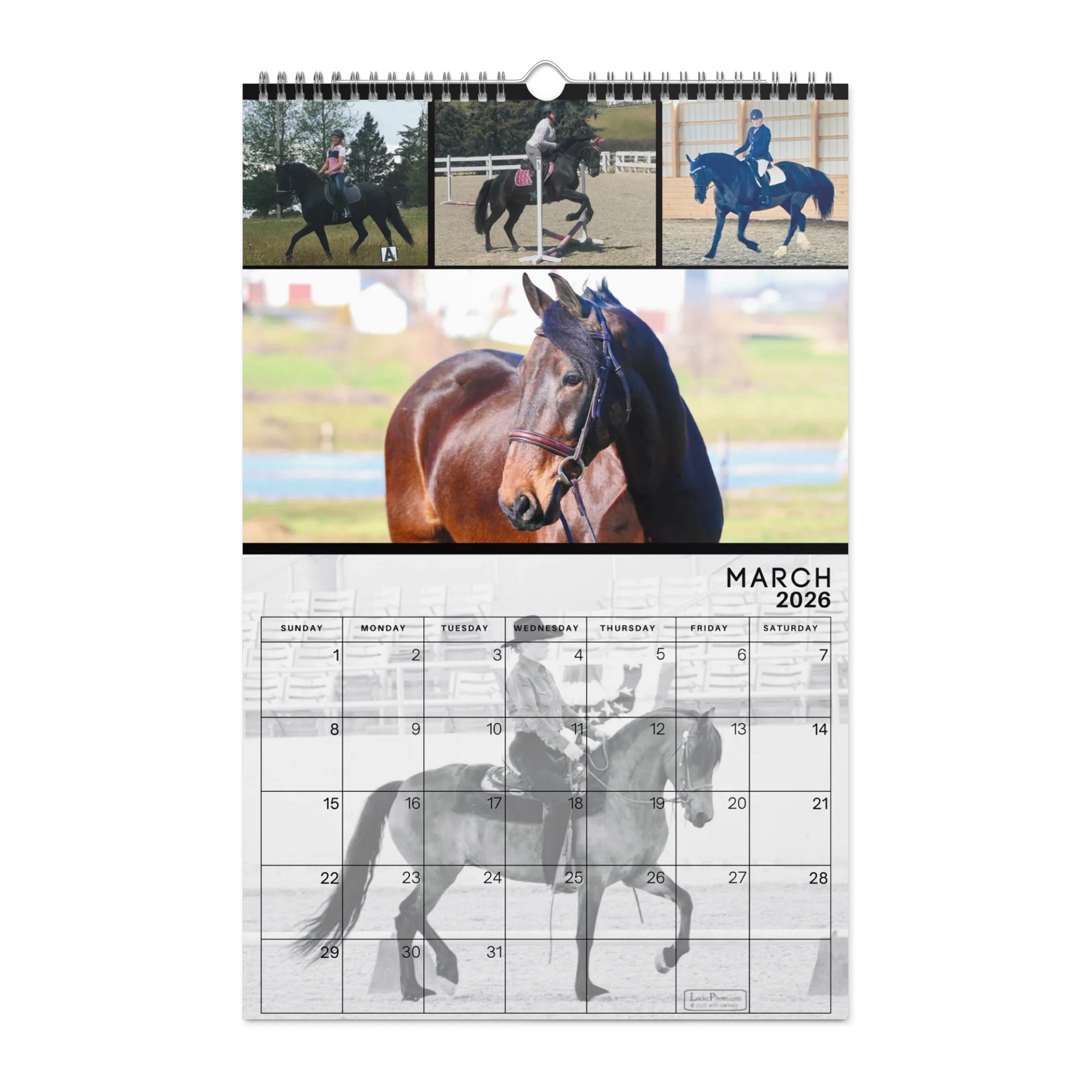 2026 Moriesian Horse Registry Calendar product image (9)