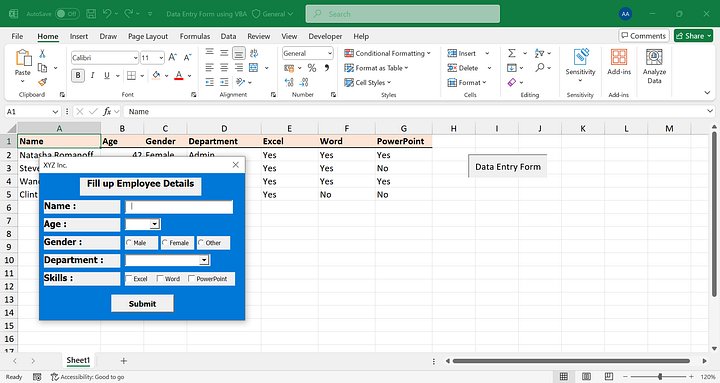 Excel Data Entry Form with VBA product image (2)