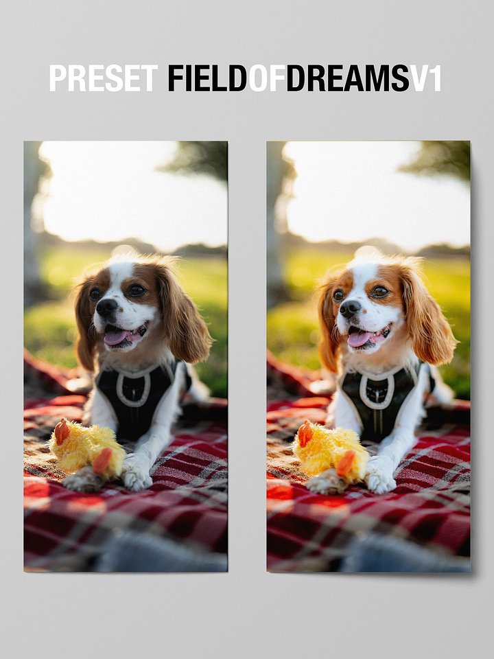 PUPPY PRESET: Field of Dreams product image (2)
