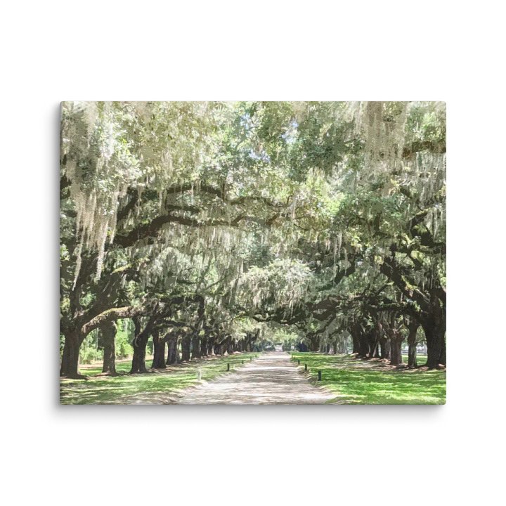 Avenue of the Oaks, Boone Hall Plantation Watercolor Canvas Print product image (2)