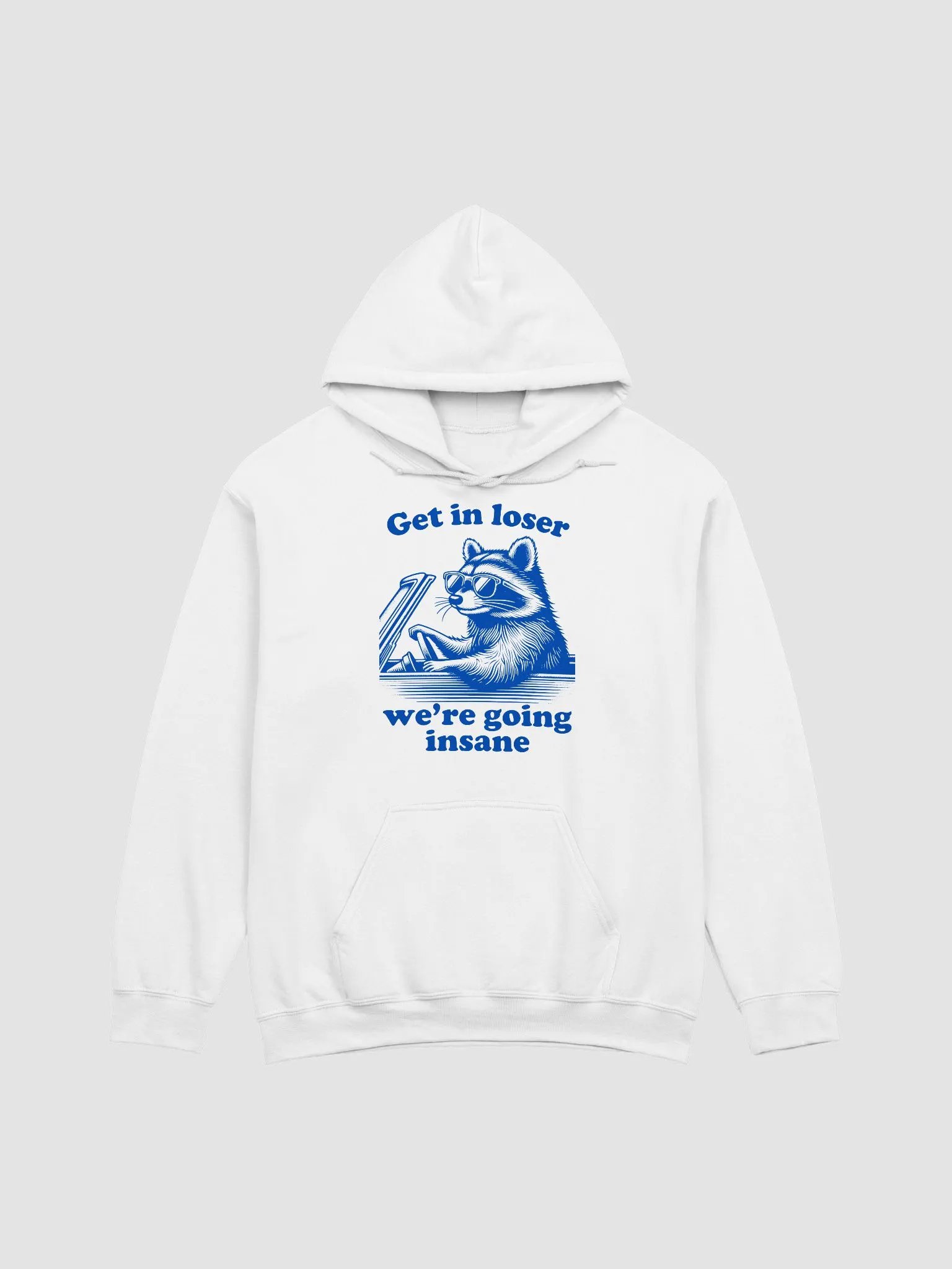 Get in loser we're going insane Hoodie product image (1)