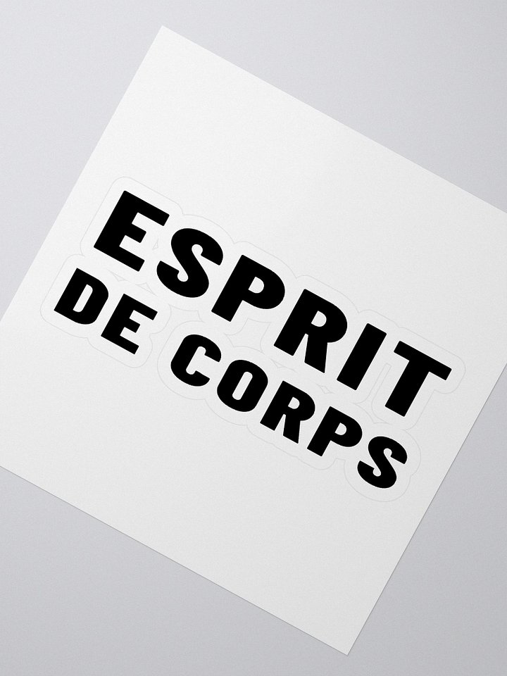Esprit Logo Sticker product image (2)