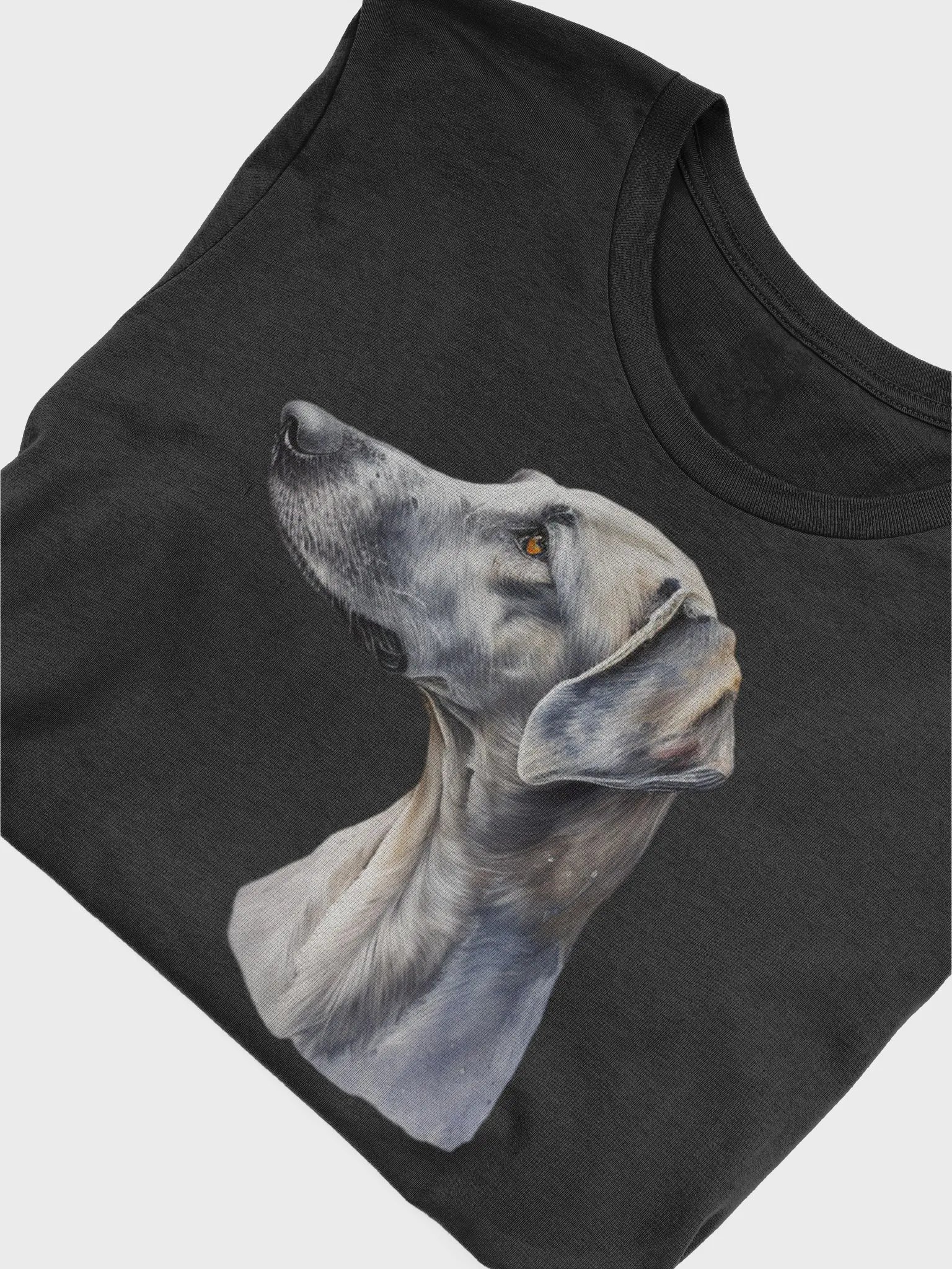 Greyhound product image (3)