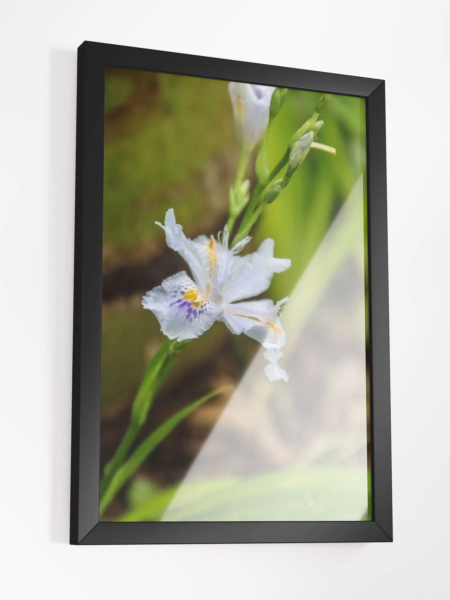 🌱Print Fine Art – The Whisper of Hidden Soil product image (3)