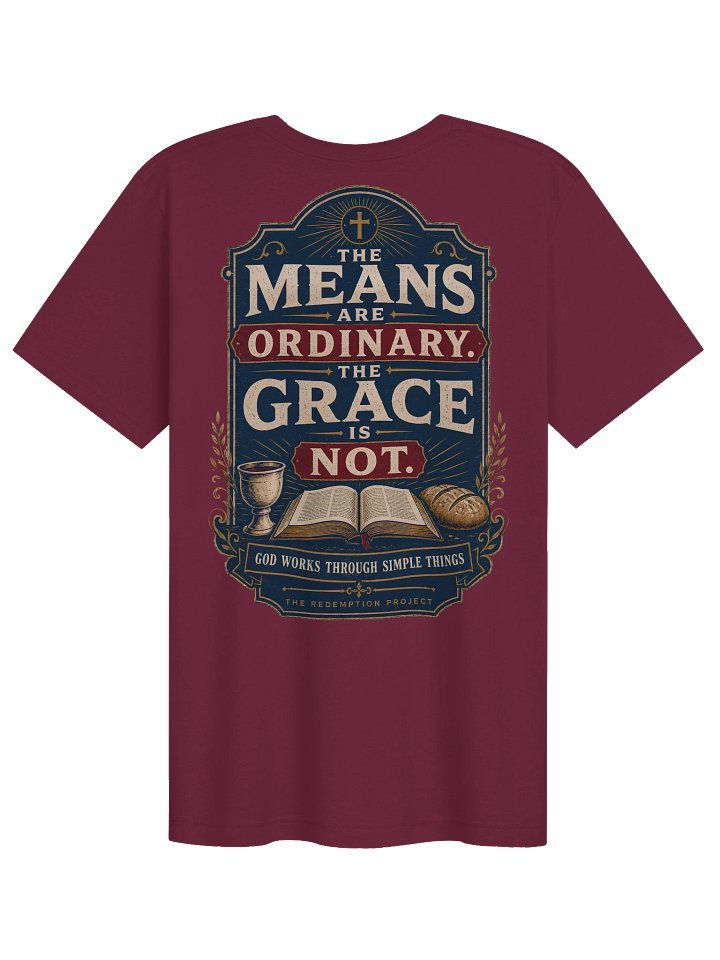 The Means Are Ordinary T-Shirt product image (32)