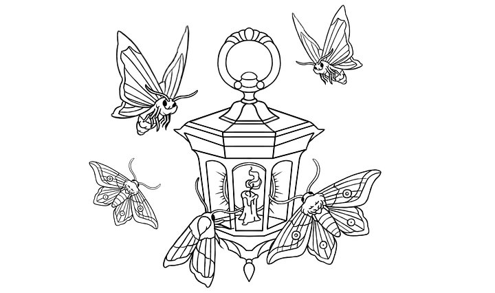 Twilight Dawn Tea (G) product image (2)