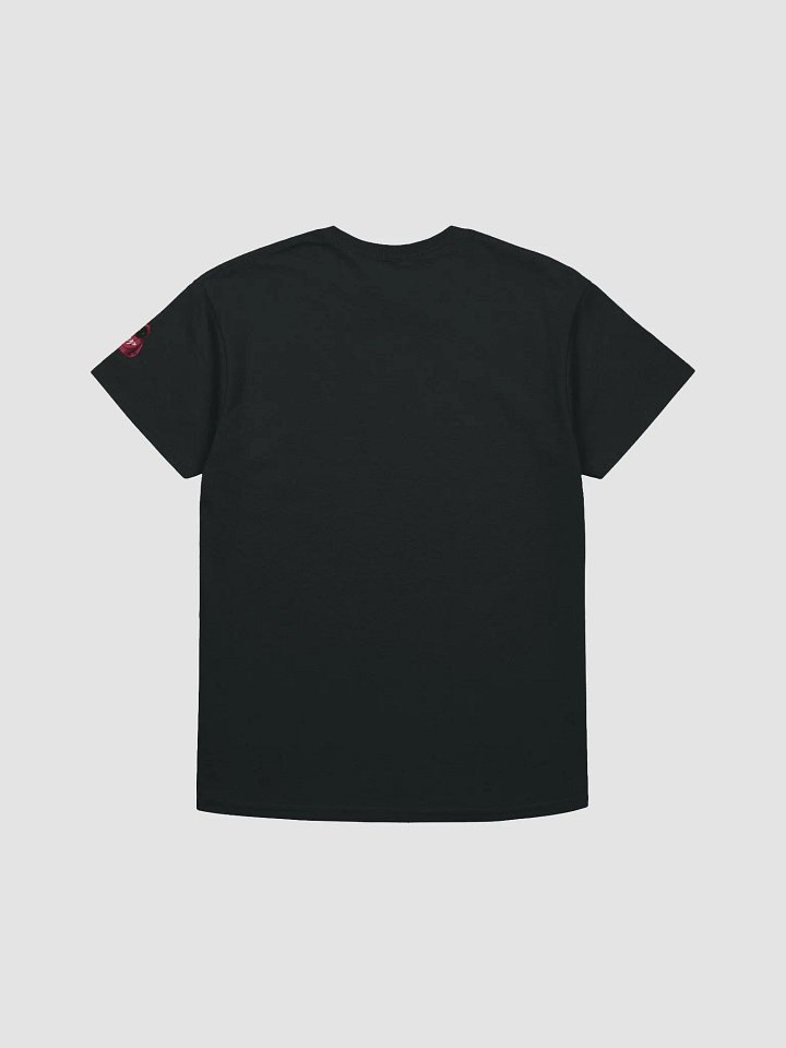 DP T-Shirt product image (2)