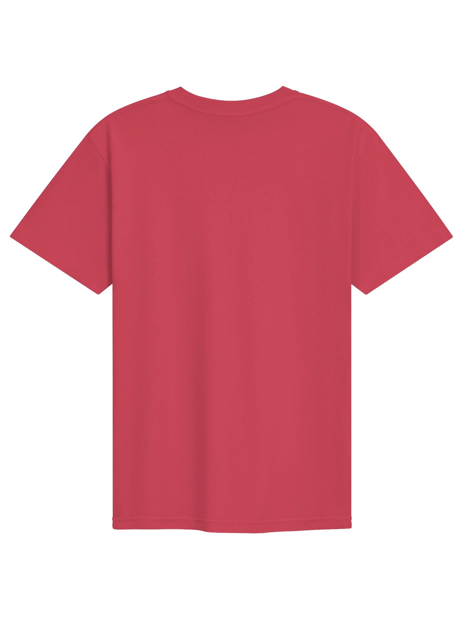 Valentini Puffer Embroidered Shirt | Reef Aquarium Fish Embroidery Tee | Toby Puffer Saltwater Marine Fish Apparel product image (6)