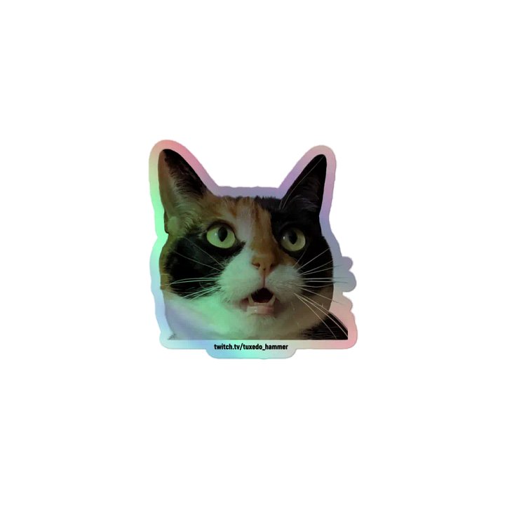 Rogue Holographic Sticker Set product image (1)