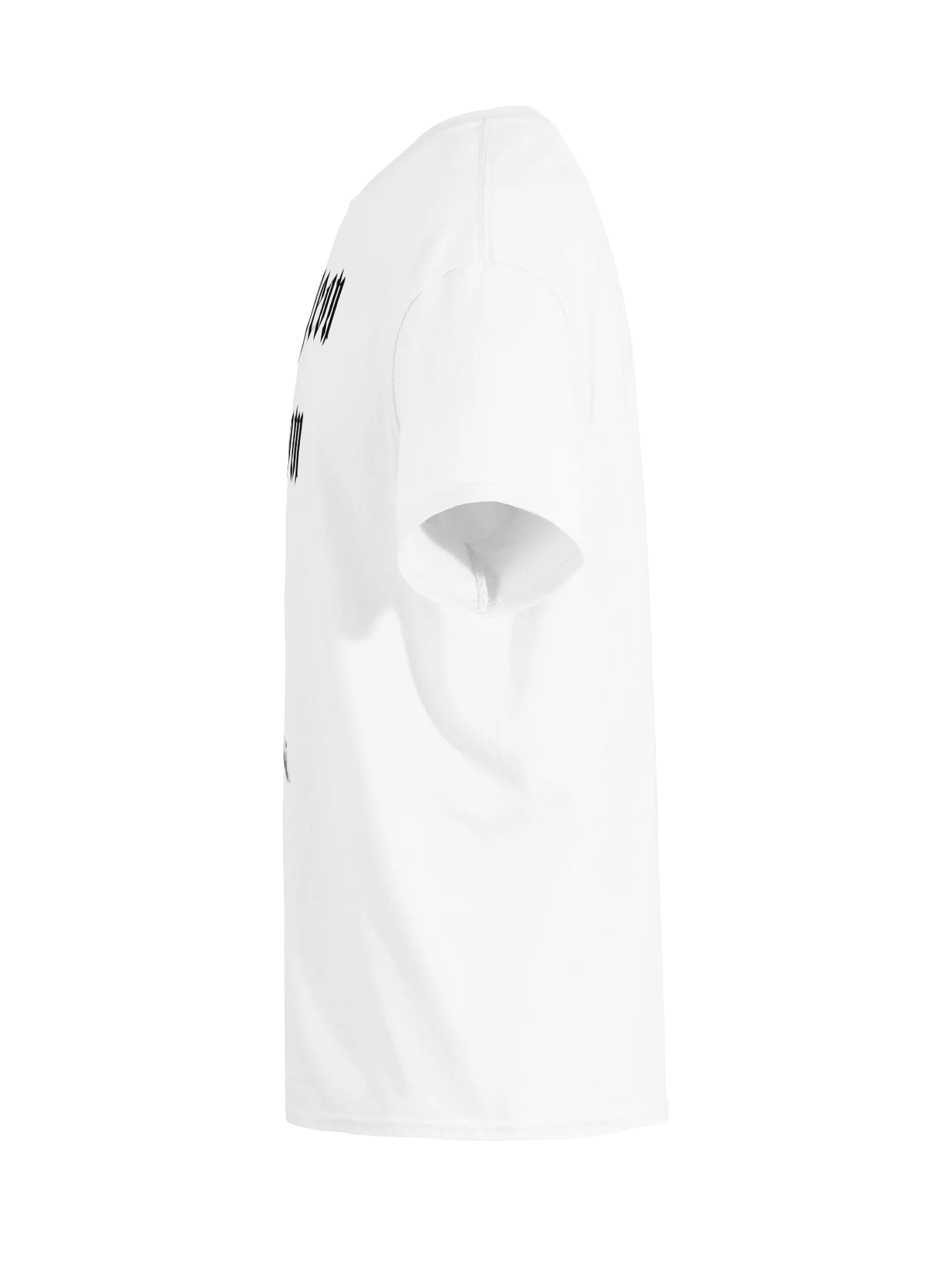 THE PIGEON OF DOOM product image (119)