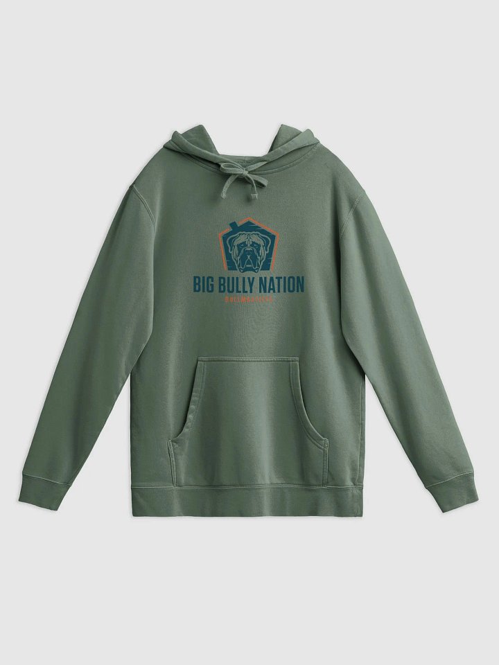Big Bully Nation Vintage Hoodie product image (3)