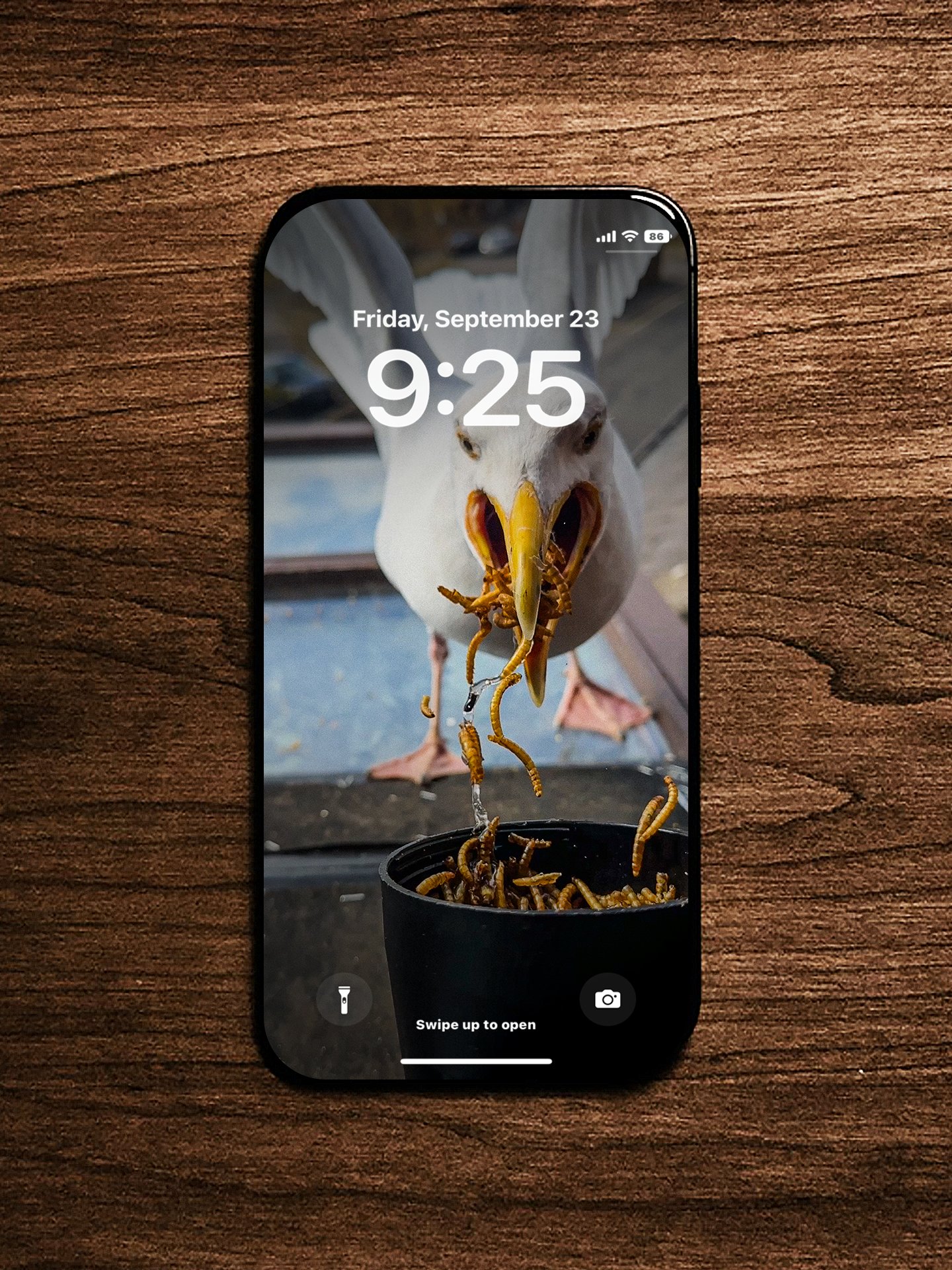 Steven Wallpaper Pack 2 product image (7)