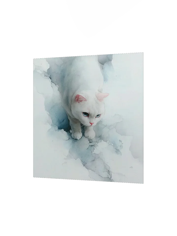 Powder Blue Blue-Eyed Cat product image (7)