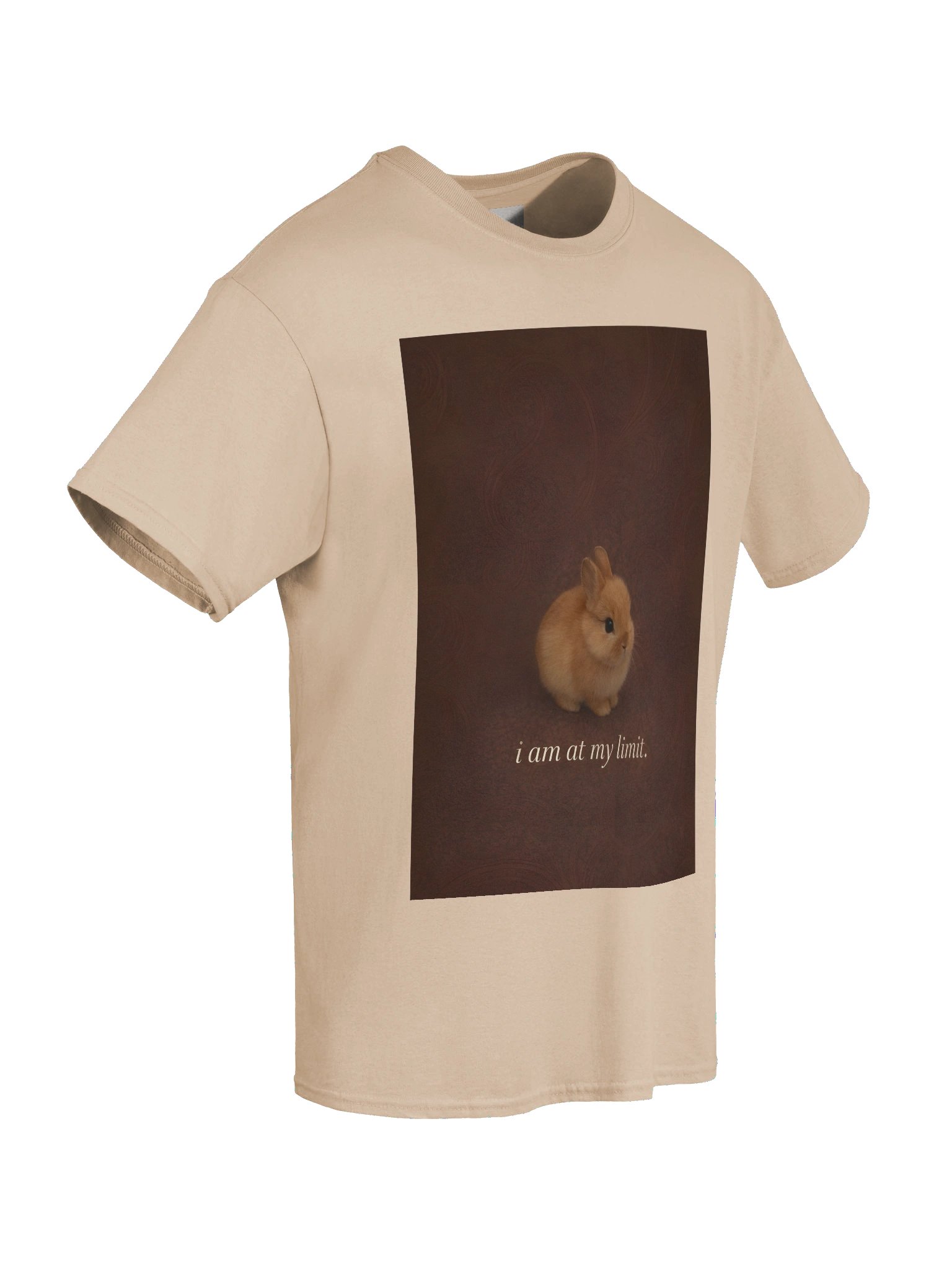 i am at my limit product image (8)