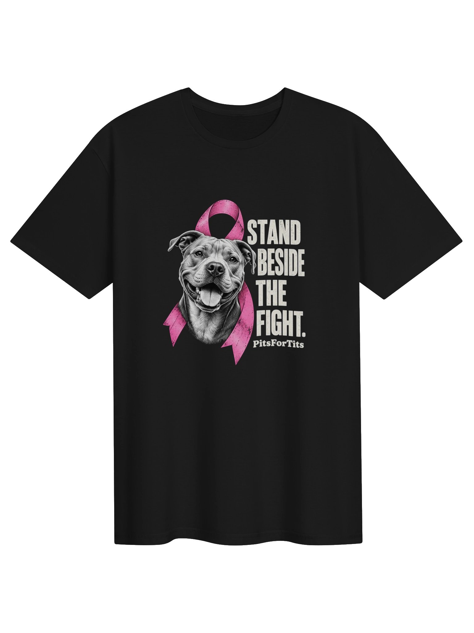STAND BESIDE THE FIGHT. product image (6)