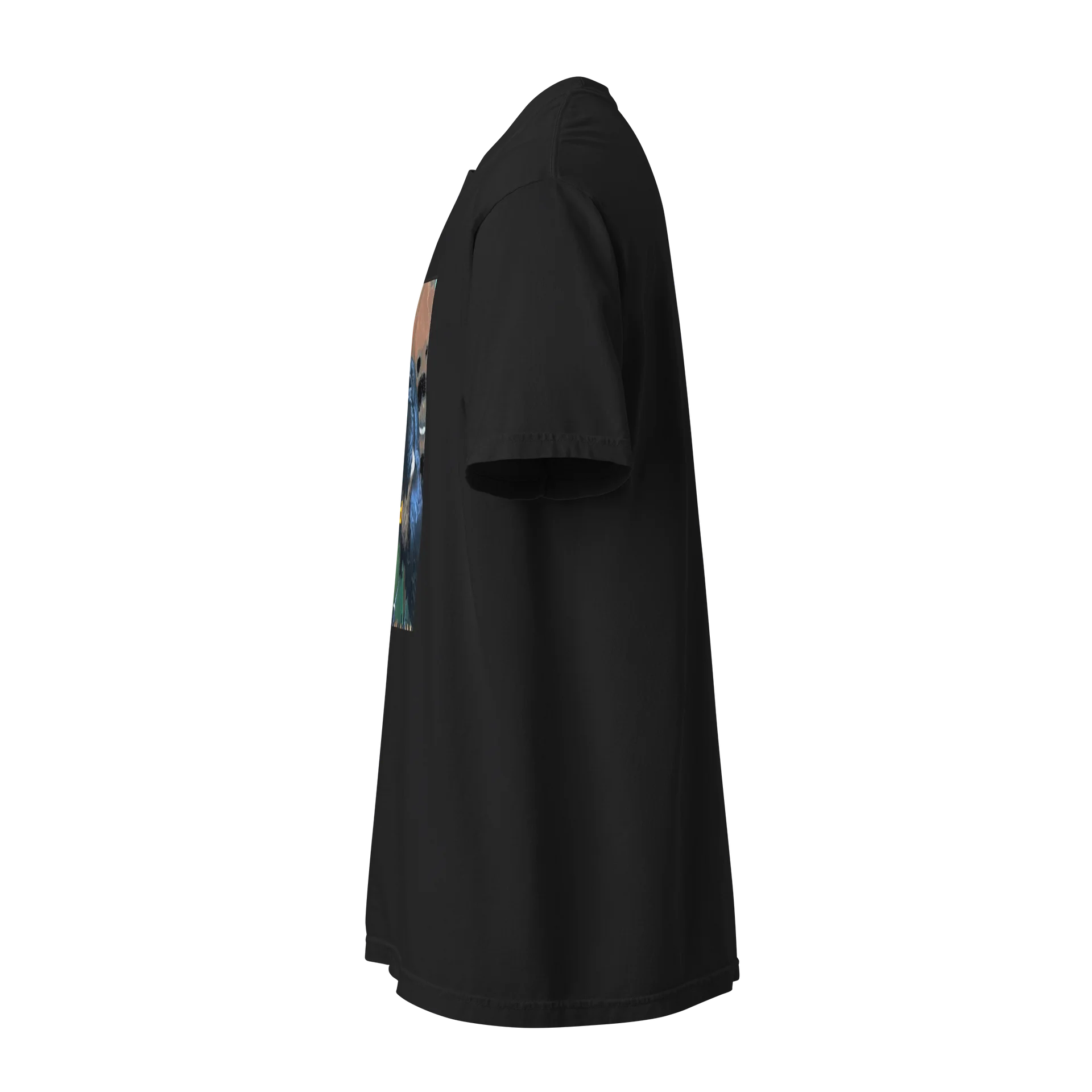 Sam the Raven product image (2)