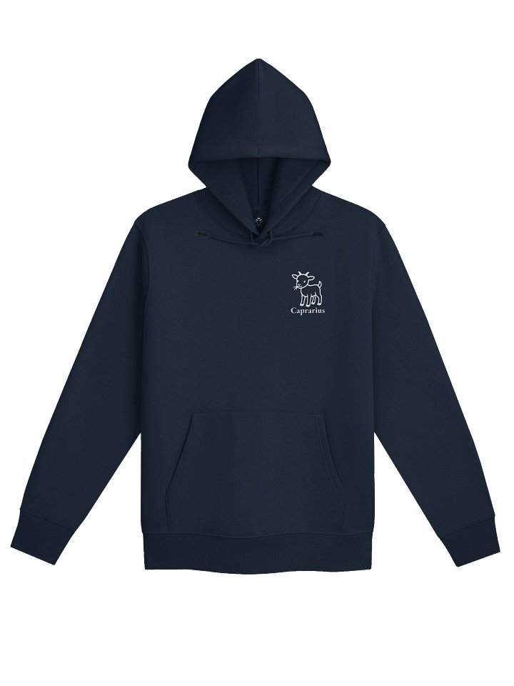 Benny Hoodie product image (1)