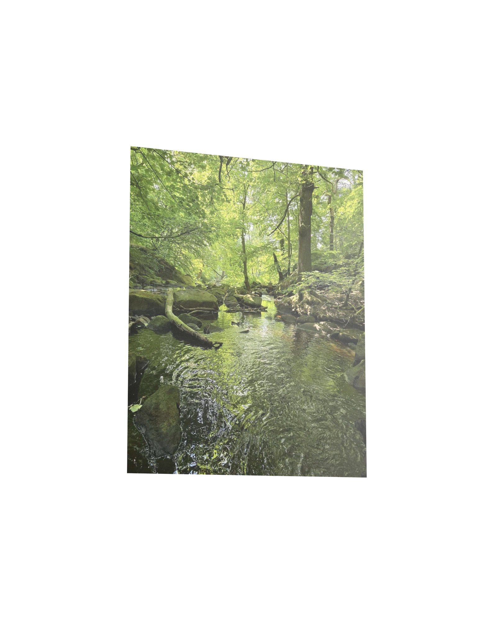 Padley Gorge product image (3)