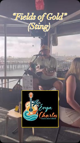 Performing Sting’s masterpiece “Fields of Gold”#sting #coversongs #acousticmusic #weddingmusic #eventmusic