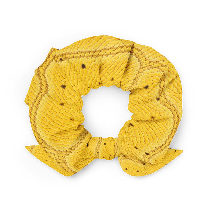 The Expensive Hair Tie ⭐ product image (2)