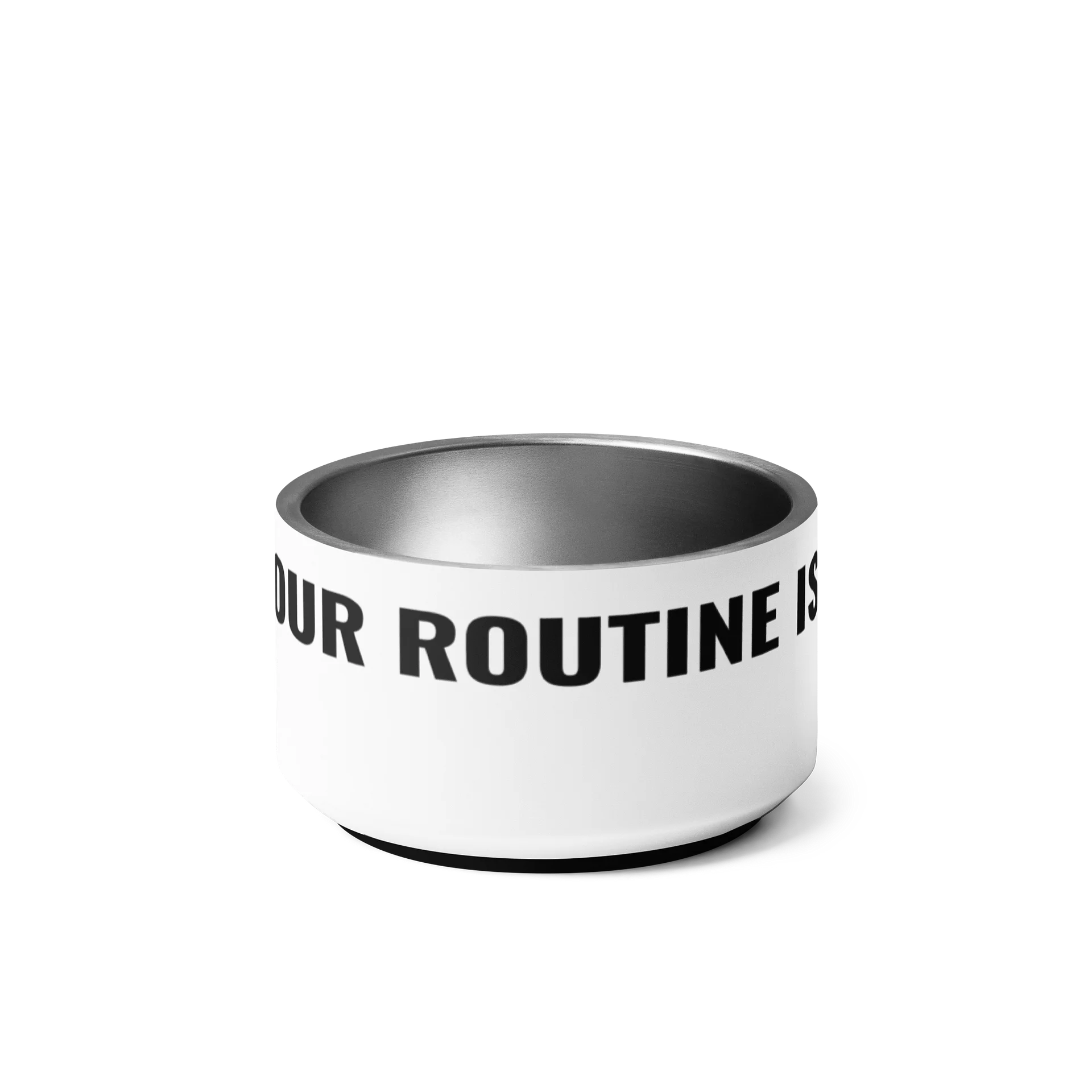 Tiger's Ceramic Pet Bowl – "Our Routine Is The Unforeseen" product image (4)