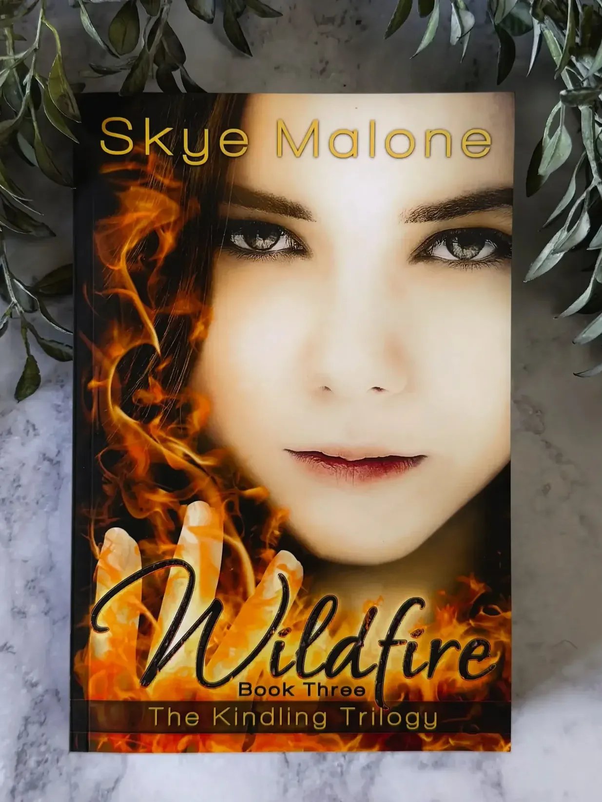 Wildfire (Kindling Trilogy #3) product image (2)