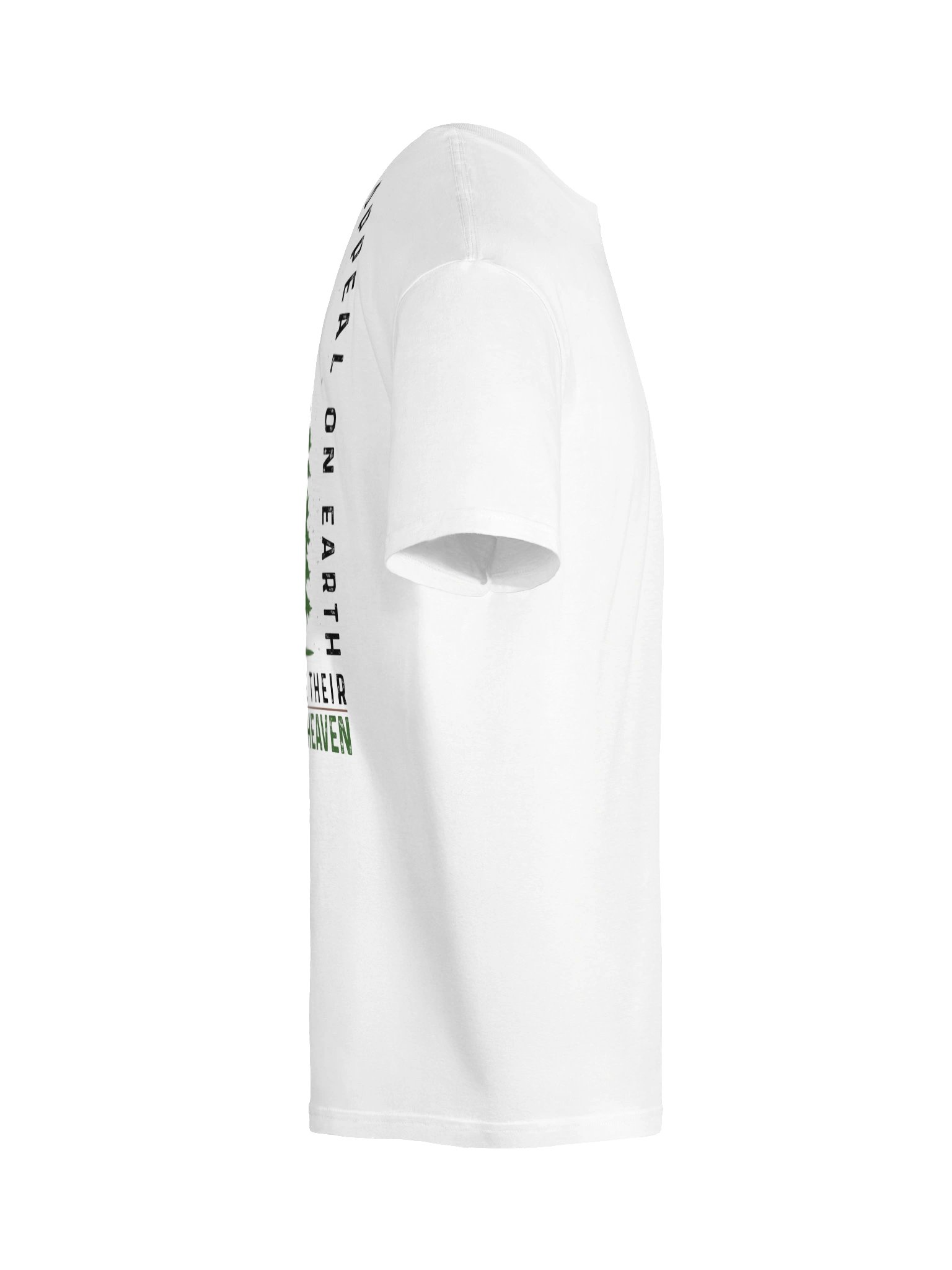 Appeal to Heaven product image (10)