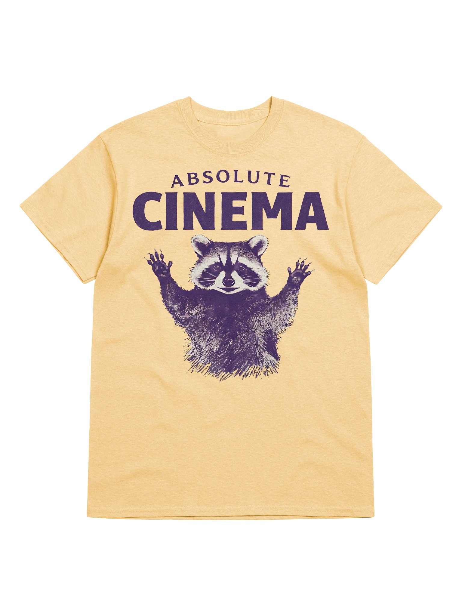 Absolute Cinema Raccoon Meme Graphic T-Shirt product image (5)